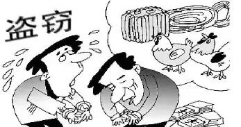 某某公司与蒋某所有权纠纷案